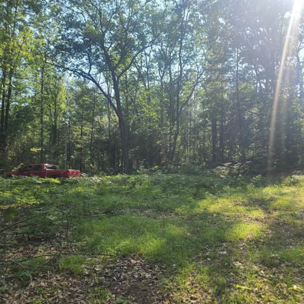 0000 NE Bailey Road Kalkaska, MI Land Active - Photo 1 of 6. Opens carousel modal