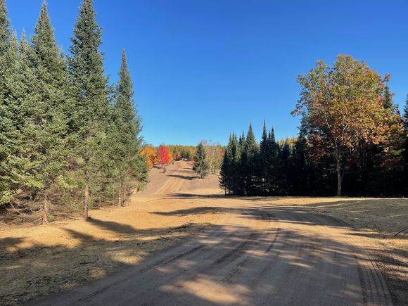 5932 SW Old Oak Trail FifeLake, MI Plot of land Active - Photo 1 of 27. Opens carousel modal
