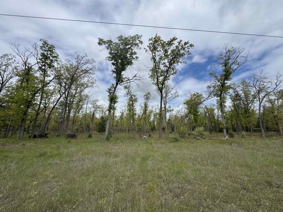 O Jose Road Omer, MI Plot of land Active - Photo 1 of 32. Opens carousel modal