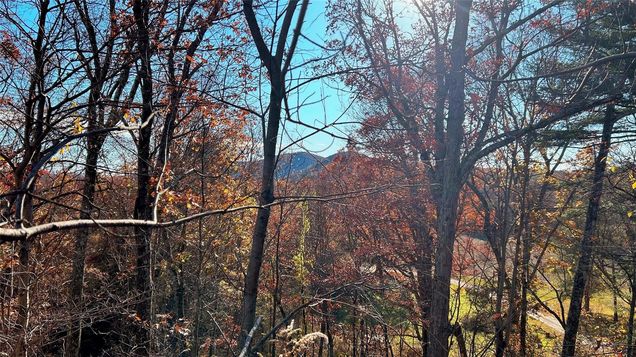66 Ryan Road Pine Plains, NY Plot of land Active - Photo 1 of 7. Opens carousel modal
