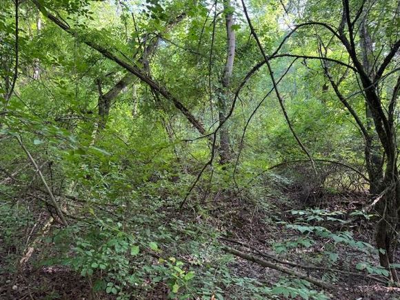 Manor Drive Lagrangeville, NY Plot of land Active - Photo 1 of 1. Opens carousel modal