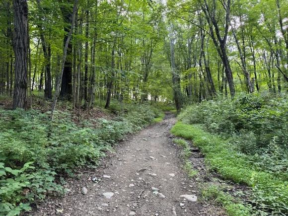 Manor Drive W & Arlene Road Lagrangeville, NY Plot of land Active - Photo 1 of 9. Opens carousel modal