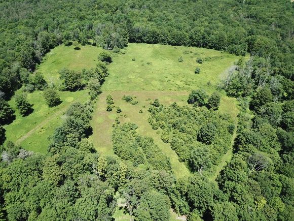 Tbd Ahrens Road Parksville, NY Plot of land Active - Photo 1 of 19. Opens carousel modal