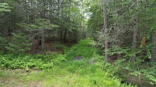 141 Brandt Road Cuddebackville, NY Plot of land Active - Photo 1 of 5. Opens carousel modal