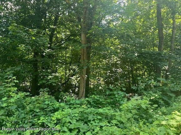 7 Ulster Avenue Esopus, NY Plot of land Active - Photo 1 of 1. Opens carousel modal