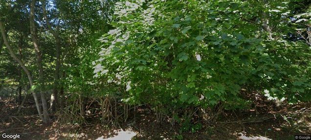 56 Midhampton Avenue Quogue, NY Plot of land Active - Photo 1 of 1. Opens carousel modal