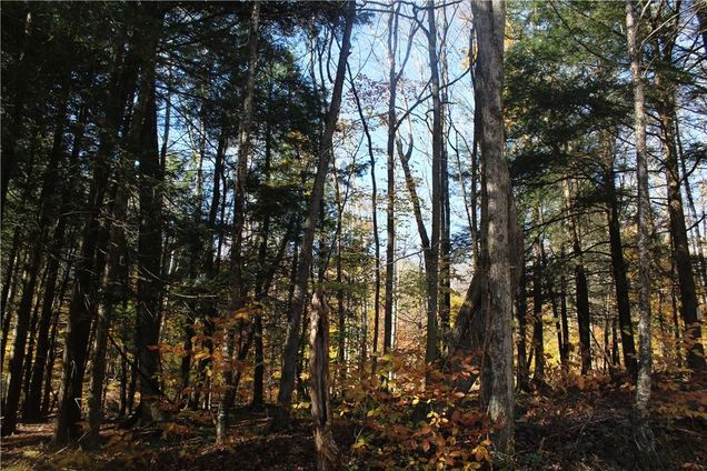 Horse Brook Road Roscoe, NY Plot of land Sold - Photo 1 of 1. Opens carousel modal
