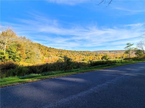 Keller Road Callicoon Center, NY Plot of land Sold - Photo 1 of 1. Opens carousel modal