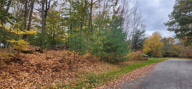 Skunk Hollow Road Fallsburg, NY Plot of land Sold - Photo 1 of 1. Opens carousel modal