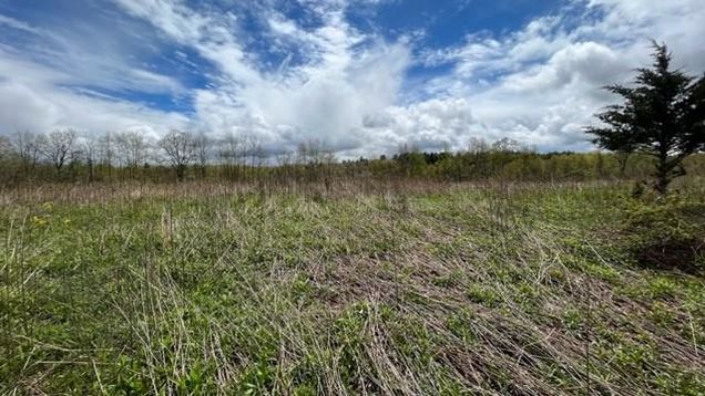 Howells Turnpike Middletown, NY Plot of land Sold - Photo 1 of 1. Opens carousel modal