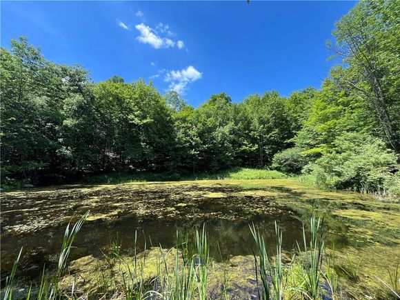Dahlia Lot 2 Road Livingston Manor, NY Plot of land Active - Photo 1 of 33. Opens carousel modal