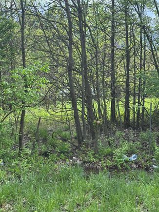 0 Milford Avenue Unit Lot 36 Columbus, OH Plot of land Active - Photo 1 of 3. Opens carousel modal