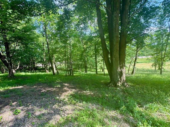 Lot 1 Mitchell Hill Drive Dresden, OH Plot of land Sold - Photo 1 of 6. Opens carousel modal