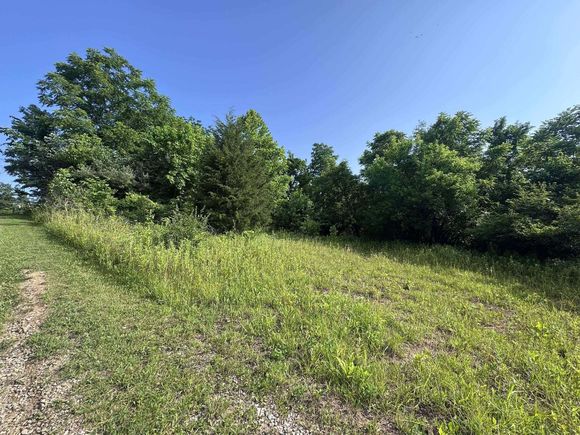 10170 Pierson Lane Mcconnelsville, OH Land Contingent - Photo 1 of 7. Opens carousel modal