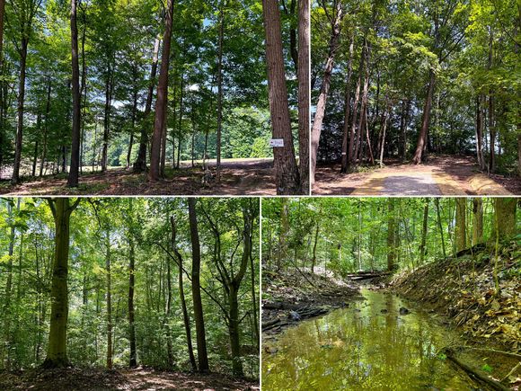 0 Wolf Hill Road Unit (Tract 2 Wolf Hill) Vinton, OH Plot of land Active - Photo 1 of 60. Opens carousel modal