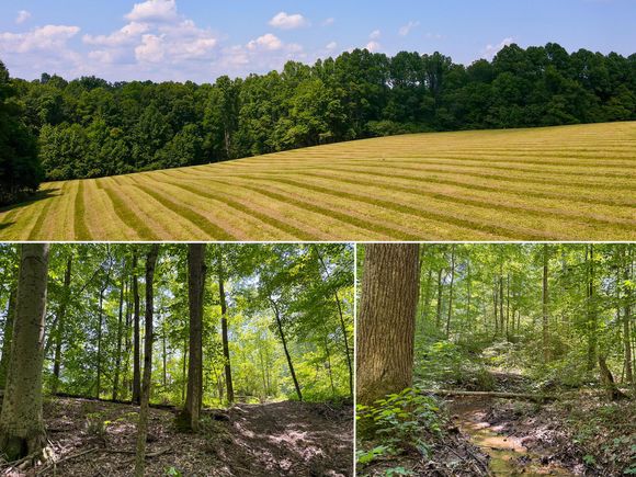 0 Wolf Hill Road Unit (Tract 3 Wolf Hill) Vinton, OH Plot of land Active - Photo 1 of 51. Opens carousel modal