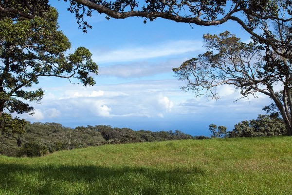 000000 Paauilo, HI Plot of land Sold - Photo 1 of 5. Opens carousel modal