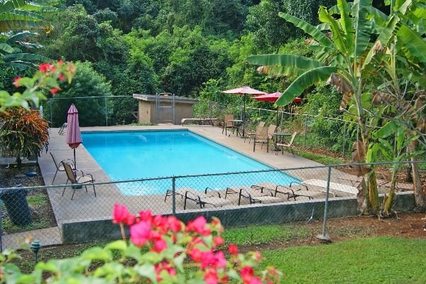 4701 Kawaihau Rd Unit A101 Kapaa, HI Condo Sold - Photo 1 of 25. Opens carousel modal