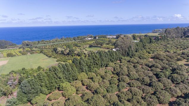 31 450 Old Mamalahoa Hwy Ninole, HI House Sold - Photo 1 of 25. Opens carousel modal