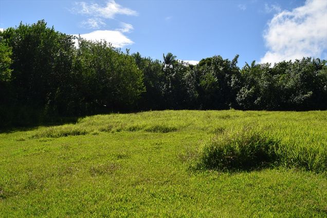 28 3160 283160 Pepeekeo, HI Plot of land Sold - Photo 1 of 3. Opens carousel modal