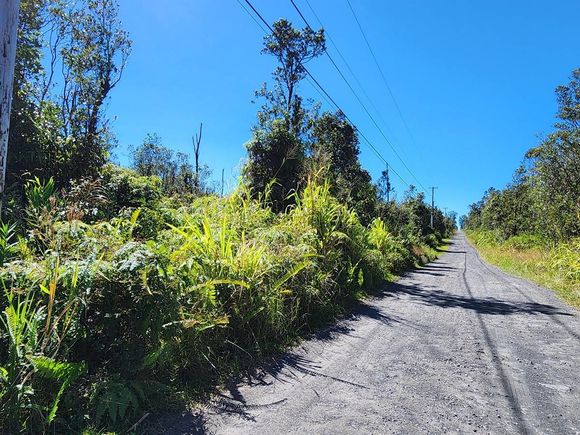 Leila Rd Volcano, HI Land Sold - Photo 1 of 4. Opens carousel modal