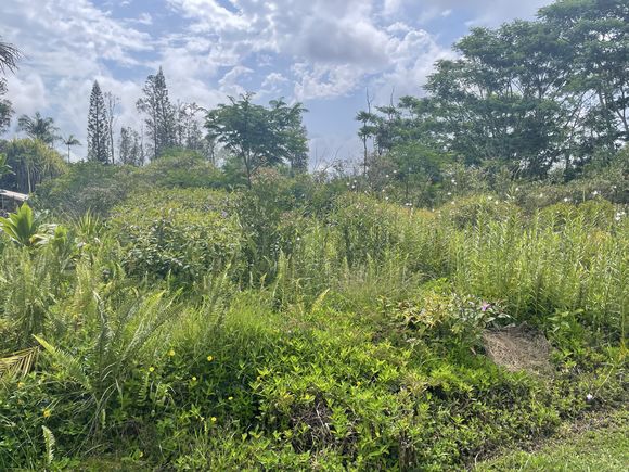 Silversword Dr Pahoa, HI Land Sold - Photo 1 of 11. Opens carousel modal