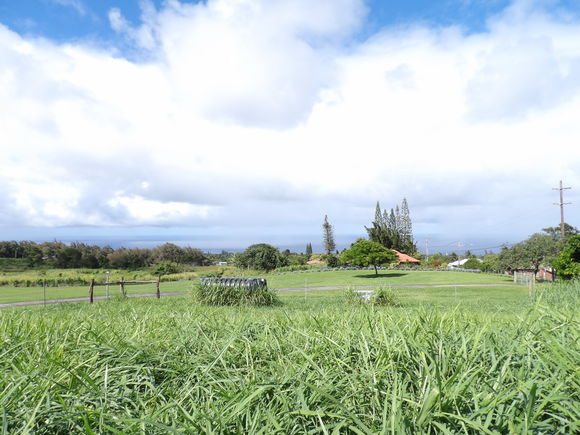 54 2337 Kynnersley Road Kapaau, HI Plot of land Sold - Photo 1 of 5. Opens carousel modal