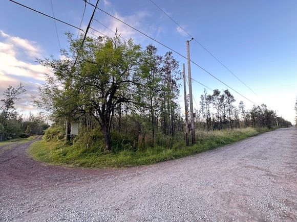 Road 7 (Opeapea) Mountain View, HI Plot of land Sold - Photo 1 of 3. Opens carousel modal