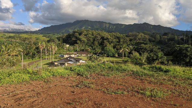 Kipapa Rd Kapaa, HI Plot of land Active - Photo 1 of 11. Opens carousel modal