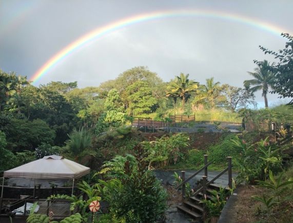 289 Wainaku St Hilo, HI Plot of land Active - Photo 1 of 16. Opens carousel modal