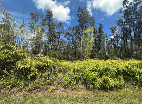 Road 5 (Uau) Kurtistown, HI Land Active - Photo 1 of 4. Opens carousel modal