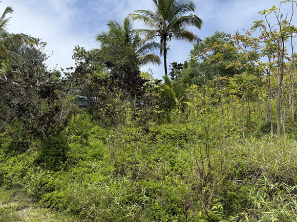 15 1032 Wahi Heiau Pl Keaau, HI Plot of land Active - Photo 1 of 3. Opens carousel modal