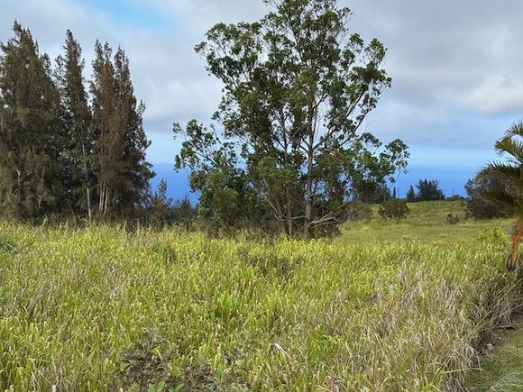 Palikekua St Honokaa, HI Plot of land Active - Photo 1 of 16. Opens carousel modal