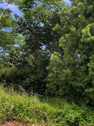 15 1747 9th Ave Keaau, HI Plot of land Active - Photo 1 of 1. Opens carousel modal