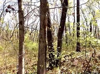 0 Nation Road Bucklin, MO Plot of land Sold - Photo 1 of 1. Opens carousel modal