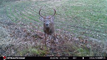 0 Clark Road Linneus, MO Plot of land Sold - Photo 1 of 8. Opens carousel modal