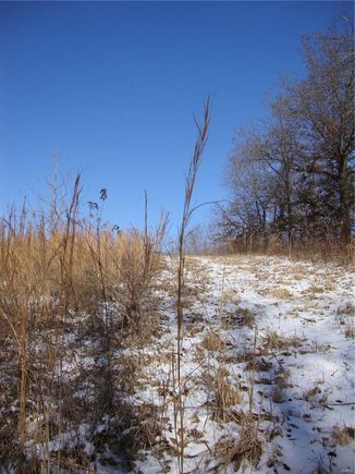 0 Oak Street Hettick, IL Plot of land Sold - Photo 1 of 17. Opens carousel modal