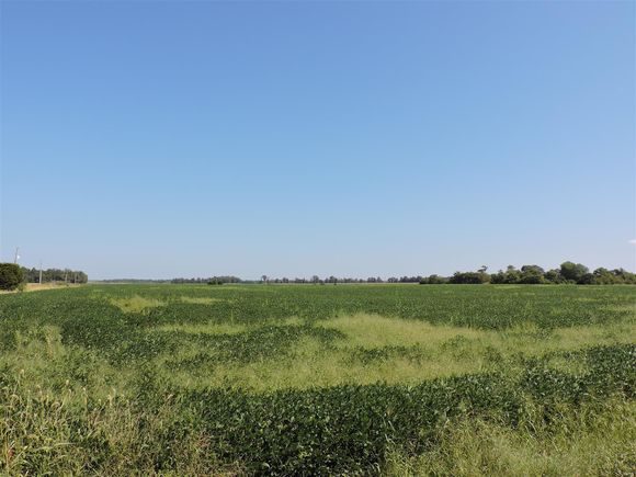 0 Dowell Road Vergennes, IL Plot of land Sold - Photo 1 of 16. Opens carousel modal
