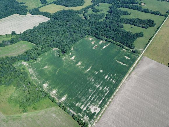 #MIS19053680 Bethel, MO Plot of land Sold - Photo 1 of 44. Opens carousel modal