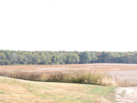 0 E Stein Road Vergennes, IL Plot of land Sold - Photo 1 of 18. Opens carousel modal