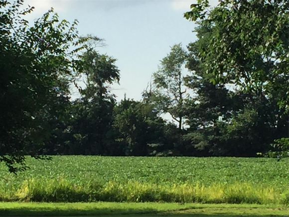 0 Elevator Road Walshville, IL Plot of land Sold - Photo 1 of 3. Opens carousel modal