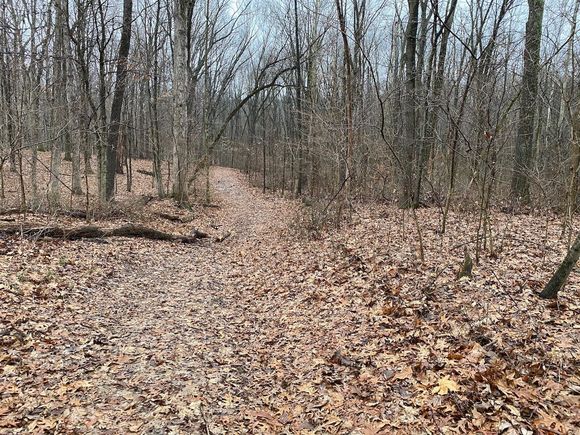2000 E 1000th Avenue Wheeler, IL Plot of land Sold - Photo 1 of 20. Opens carousel modal
