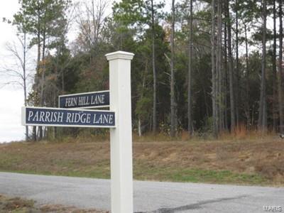 20 Fern Hill Goreville, IL Plot of land Sold - Photo 1 of 9. Opens carousel modal