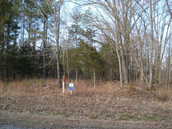 0 Buckeye Hill Lot 4 Goreville, IL Plot of land Sold - Photo 1 of 15. Opens carousel modal