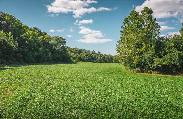 11239 Younger Rd Unincorporated, MO Plot of land Sold - Photo 1 of 38. Opens carousel modal