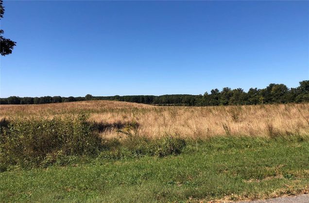 0 County Road 214 Cape Girardeau, MO Plot of land Sold - Photo 1 of 1. Opens carousel modal