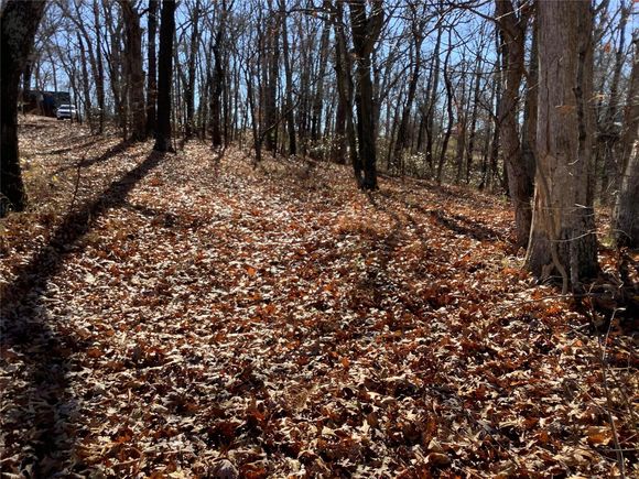 5909 Flint Ridge Eureka, MO Plot of land Sold - Photo 1 of 2. Opens carousel modal
