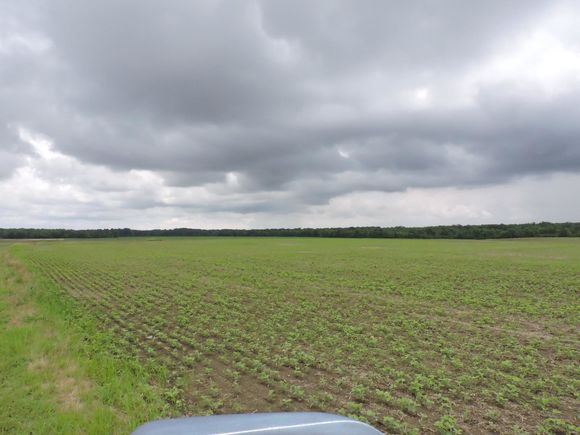 0 Rt. 149 De Soto, IL Plot of land Sold - Photo 1 of 15. Opens carousel modal