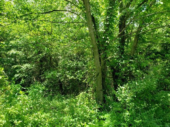 0 Sycamore Goreville, IL Plot of land Sold - Photo 1 of 6. Opens carousel modal