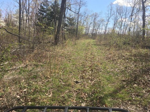 1 Bucks Crossing Richwoods, MO Plot of land Sold - Photo 1 of 4. Opens carousel modal